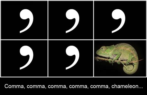 comma_chameleon.jpg